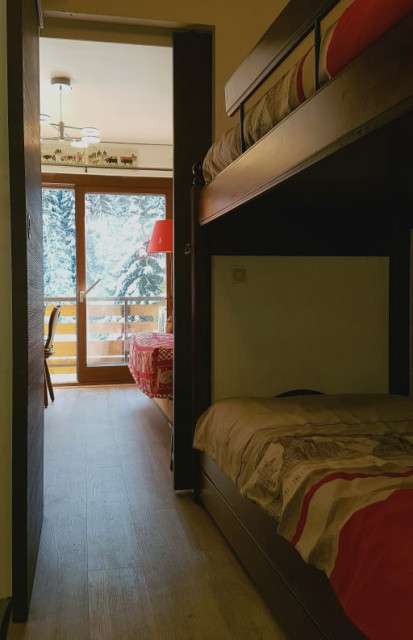 Apartment 195 B in residence Portes du Soleil, Mountain corner, Châtel Ski slope
