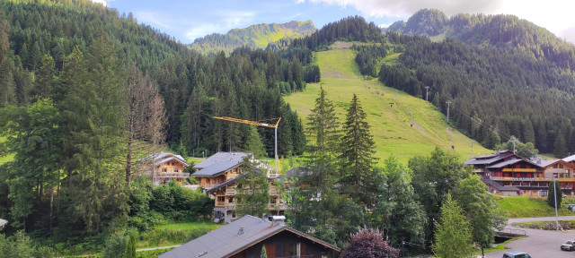 Apartment 3 people MOULIN Châtel, Balcony view