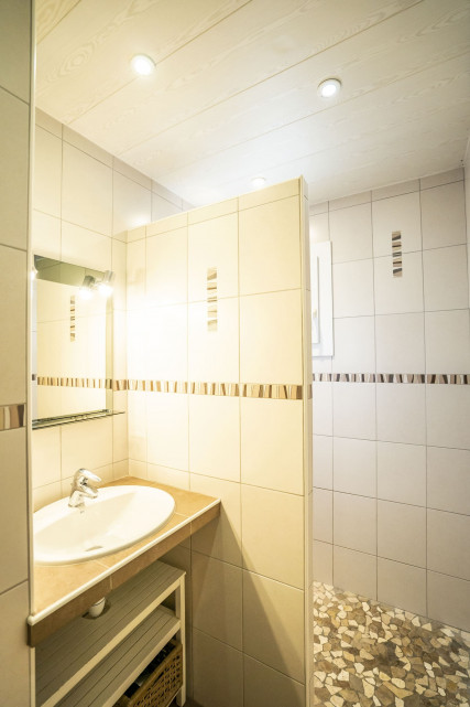 Appartement 4 dans Chalet l'Etrye, Douche, Châtel 74390