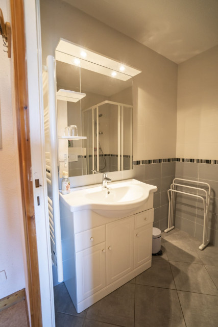 Appartement, 4 personnes, Chambron, Châtel, centre, salle de douche