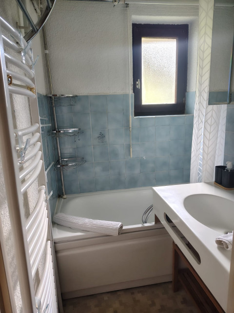 Apartment 4 people Châtel Résidence Perce Neige bathroom
