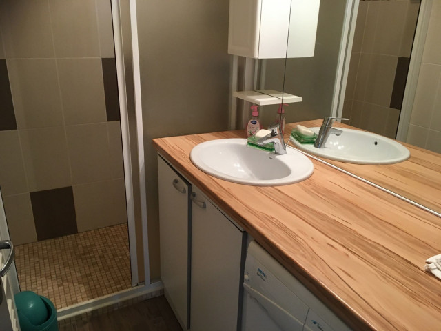 Apartment Bel Horizon 3, bathroom, Châtel Les Portes du Soleil