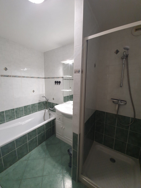 Apartment BOULE DE NEIGE, Bath and shower room, Châtel 74390