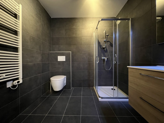 Appartement Chalet des Freinets 2D, salle de douche, Châtel Les Portes du Soleil