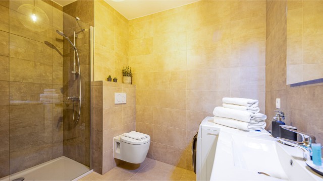 Appartement Chalet des Freinets, 4 personnes, Châtel, salle de douche