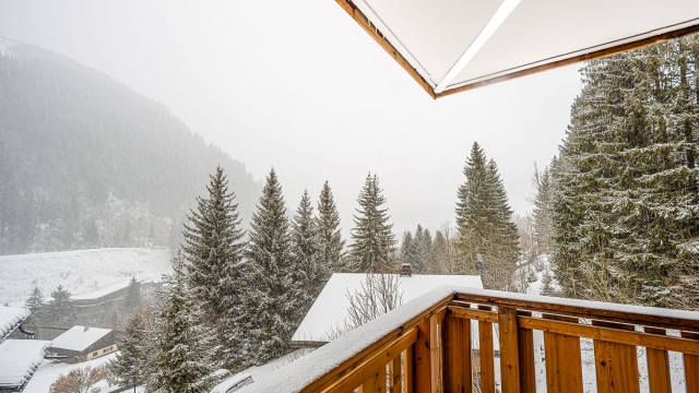 Appartement Chalet des Freinets, 6 personnes, Châtel, balcon vue montagnes, neige