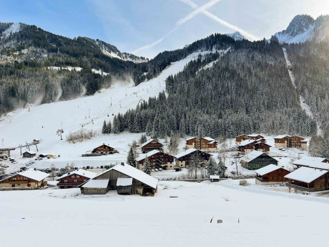 Appartement dans chalet 3 fontaines E4, 8 personnes, Vue extérieure, Châtel hiver
