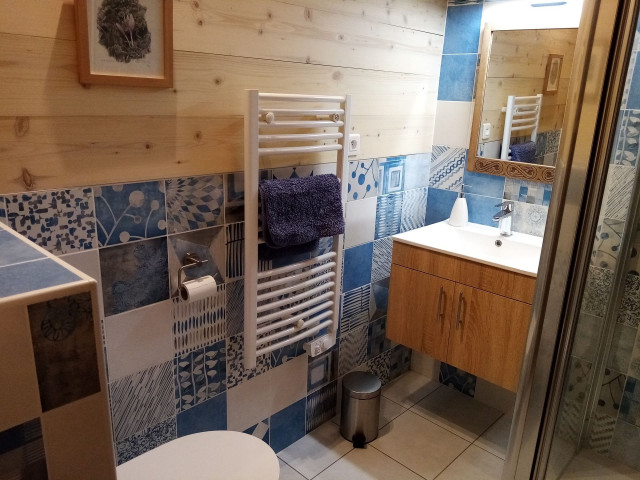 Appartement dans chalet le Détour, douche et WC de la chambre lit double, La Chapelle d'Abondance