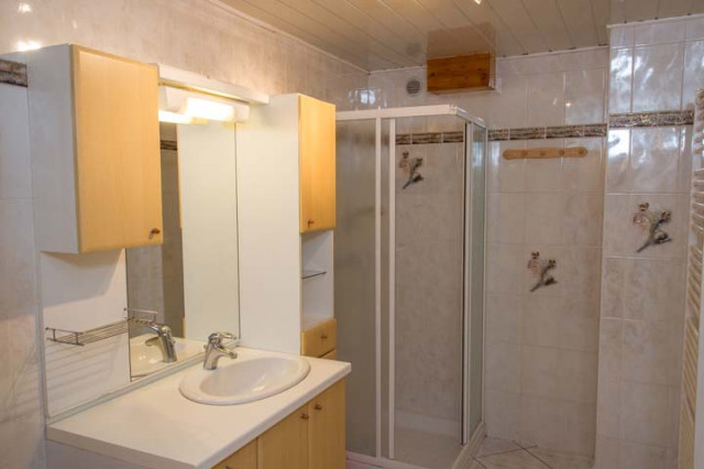 Apartment in chalet the marmouset, Bathroom, Châtel 74390