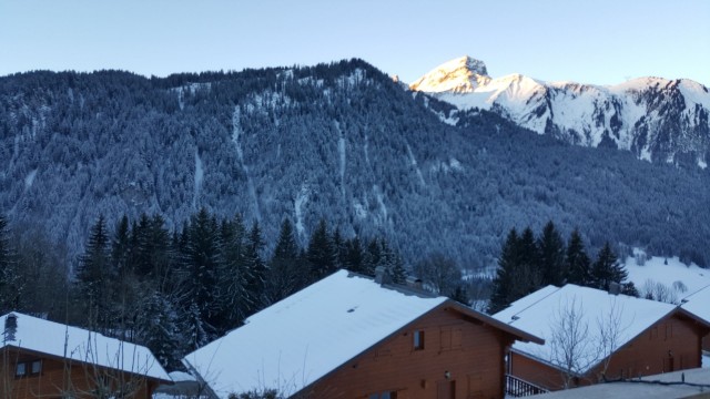 Appartement dans chalet Les Greniers Vue Châtel Neige 2