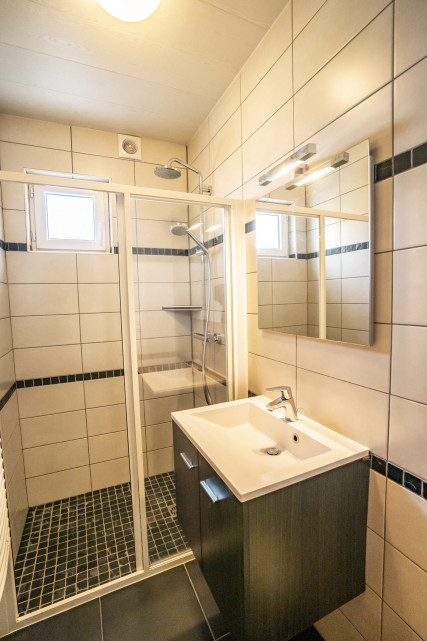 Apartment in chalet Pensée des Alpes, Shower room, Châtel
