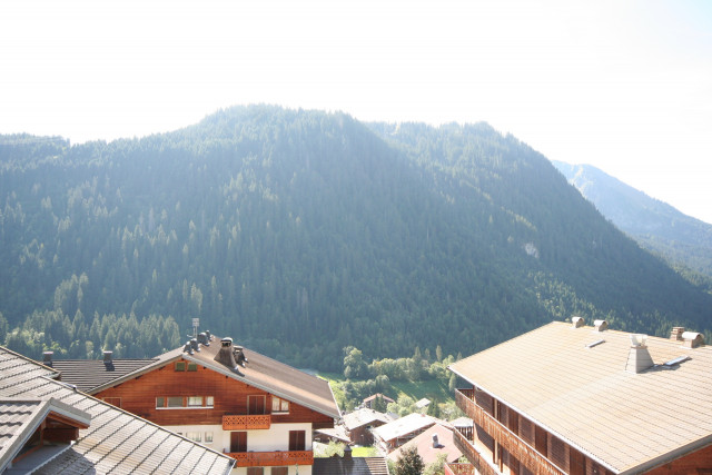 Appartement Echo des Montagnes 6, vue sur les montagnes, Châtel Haute-Savoie