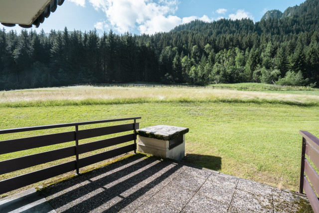 Appartement Iris 5 personnes, Terrasse, Châtel hiver