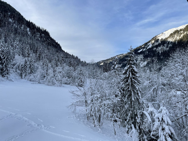 Appartement Iris 6 personnes, Séjour, vue depuis le balcon, Châtel