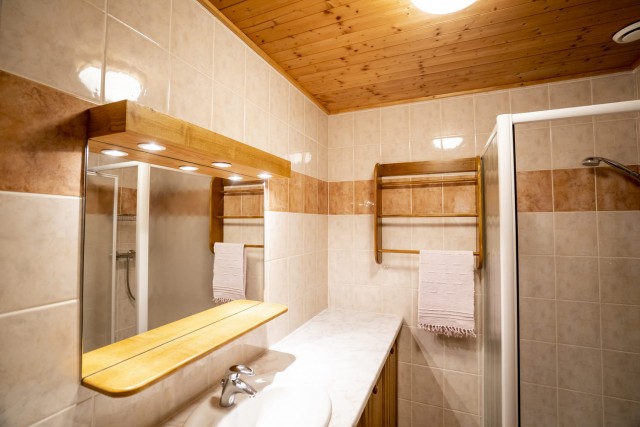 Appartement L'Atelier de Théo Salle de Douche châtel 2