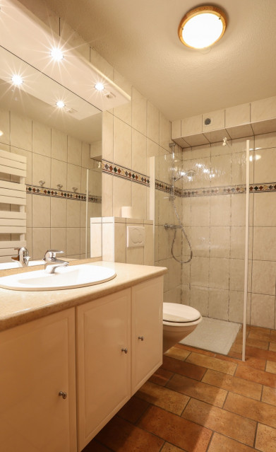 Apartment La Cabane du Bas Bathroom Châtel Tourism 74