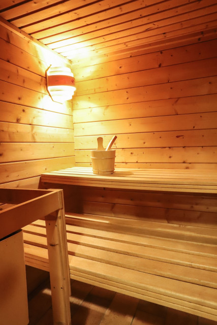 Appartement La Cabane du Bas Sauna Châtel Vacances Bien Etre