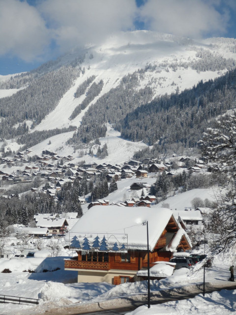 Apartment La Cabane du Bas Chalet View Châtel Mountain Snow