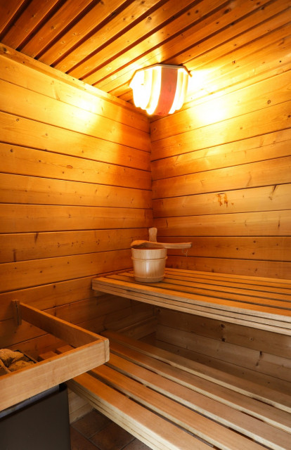 Apartment La Cabane du Haut Sauna Châtel Cosy