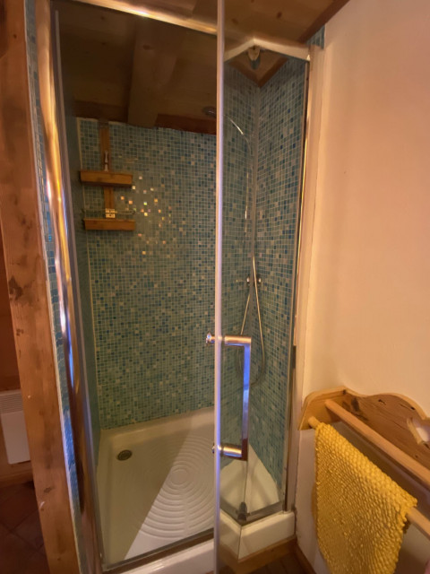 Apartment La Miette Shower room French Alpes