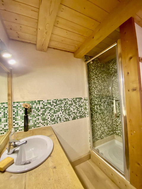 Appartement La Miette Salle de Douche Châtel 