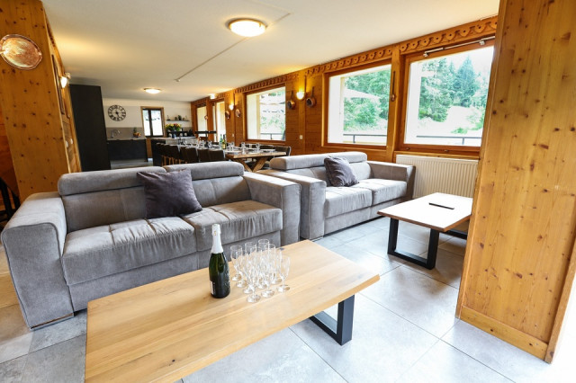 Appartement le Biwak dans chalet la Cascade, Châtel, canapé