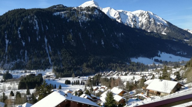 Appartement Le Soleil D'hiver 20 Vue Châtel Vallée