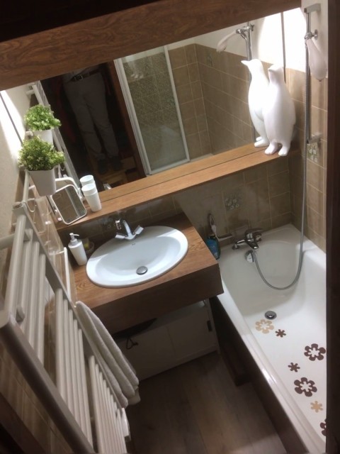 Appartement Les Biches 27B Salle de Bain Châtel  2