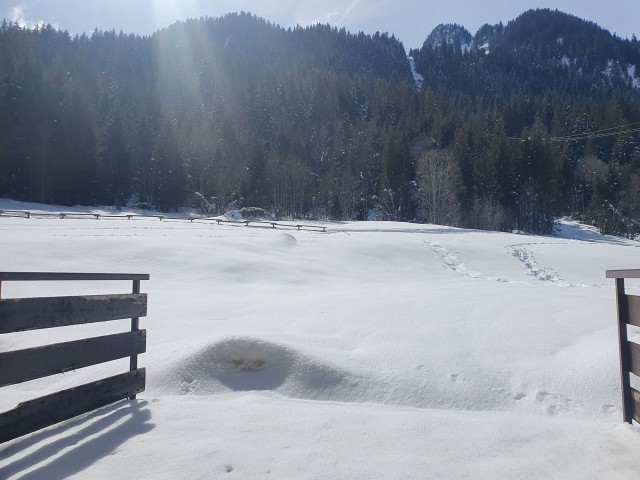 Appartement Les Iris 6 Vue Châtel Neige
