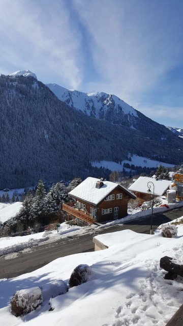 Appartement Les Sorbiers 009 Vue Châtel Montagne