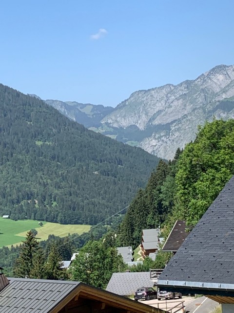 Appartement les sorbiers n°7, Vue depuis le balcon en été, Châtel Haute Savoie