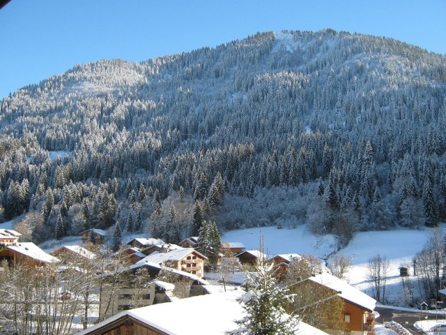 Appartment Les Voinettes 28A, Outside Châtel