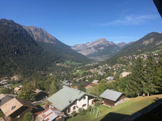 Apartment Martonne Haut, Summer View, Village, Châtel Rental