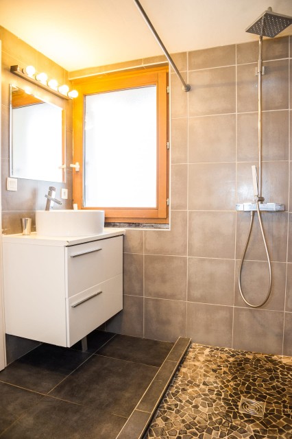 Apartment Martonne, Shower room with WC, Châtel