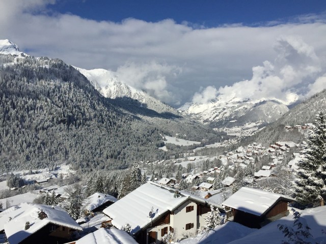 Apartment Martonne, View from the apartmentin winter, Châtel, Snow moments