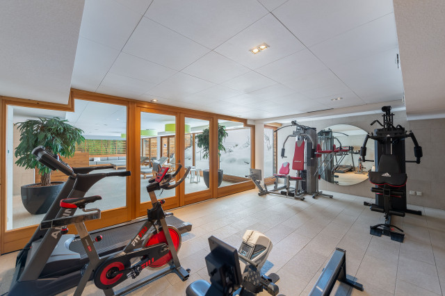 Appartement Mont blanc 08, Salle de sport, Châtel hiver