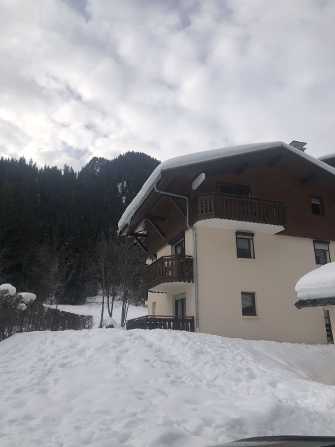 Appartement n°1 avenieres, Résidence en hiver, Châtel