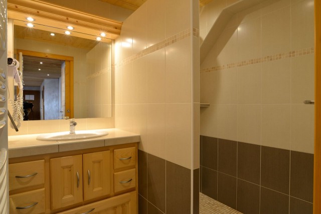 Apartment n°2 in chalet l'EPICEA, Shower room, Châtel