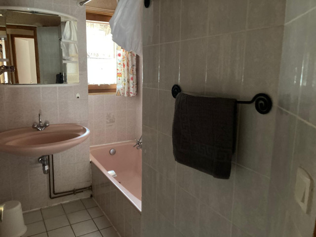 Apartment n°3 in chalet The Bouquetins, Châtel, bathroom