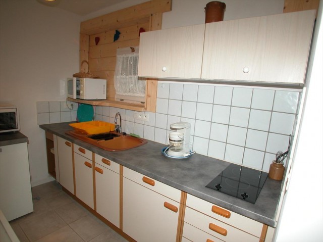 appartement rhododendrons cuisine Châtel