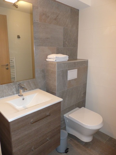 Apartment Soldanelles n°11, Shower room + WC, Châtel Portes du Soleil