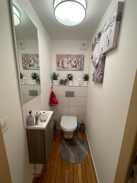 Appartement Soldanelles 17, Châtel, WC