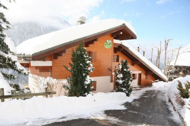 Balcon des Alpes 5, Extérieur, Châtel Matériel de ski