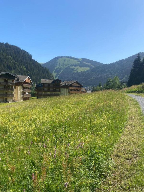 Myrtilles MR7 Buildings - Châtel, Sports Equipment
