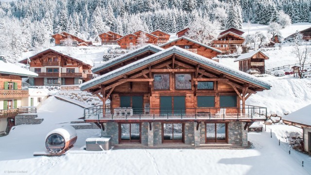  Chalet Bovard Châtel Luxe