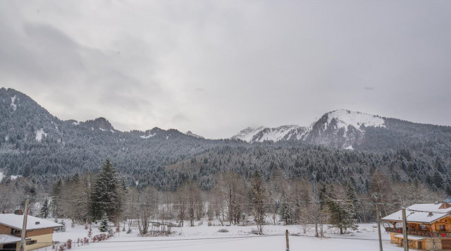 Chalet Ciste La Chapelle d'Abondance, Vue montagnes, Châtel Hiver 74