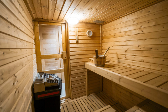 Chalet D'Artagnan Petit Châtel, Sauna, Montagne Neige