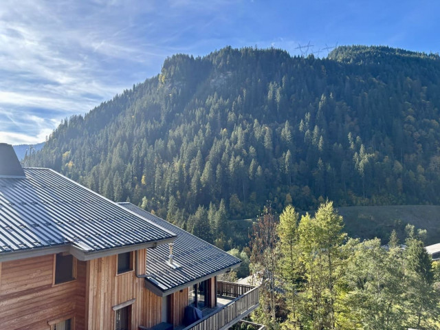 Chalet des Freinets, Appartement 201A, Châtel, Vue montagne, Altitude 74390