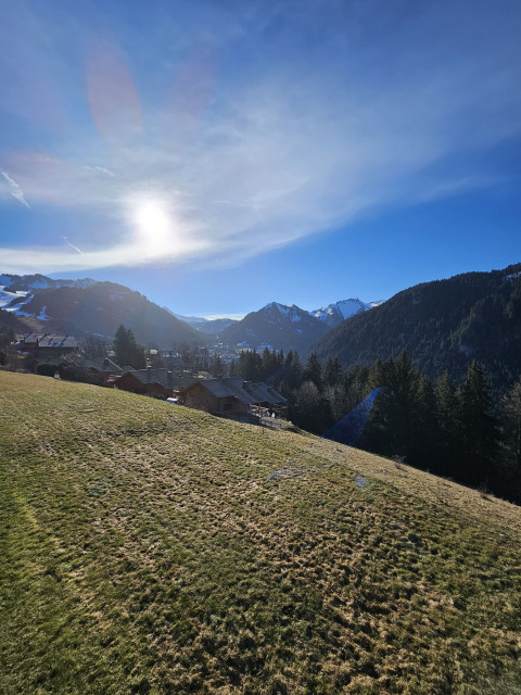 Chalet du Saix A, Châtel, Vue sur les montagnes, Faune et flore de la montagne 74
