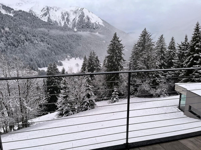 Chalet du Saix E, Chatel, View, Snow mountain 74